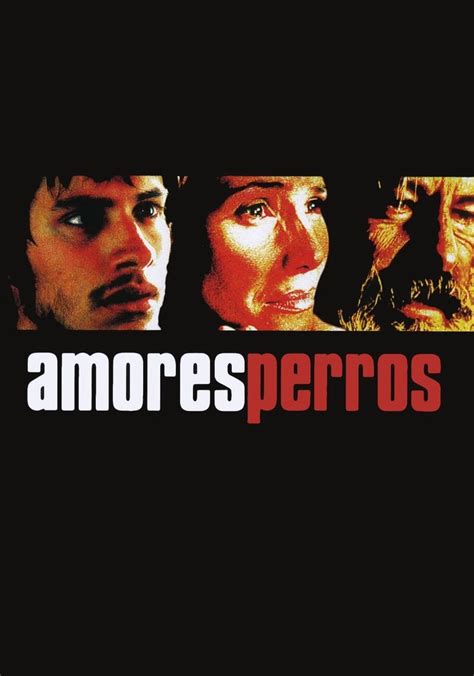 amores perros película completa gratis|watch amores perros online free.